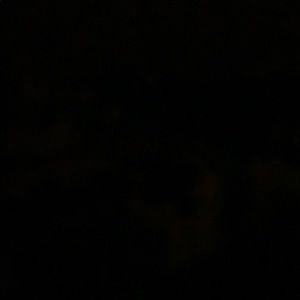 Meet your Posher, Cody